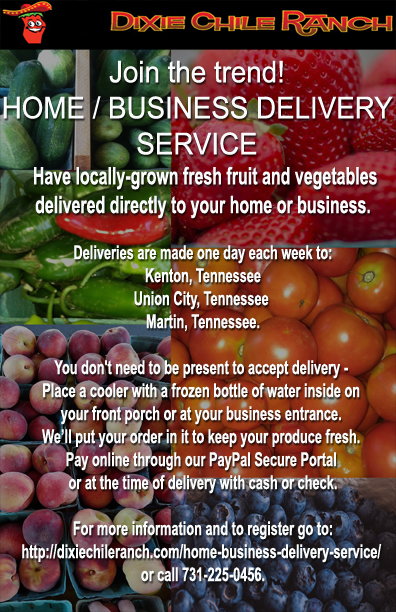 Home/Business Delivery