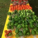 Farmers market Table