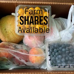 CSA FarmShare Box